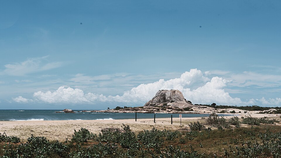 Yala Safari